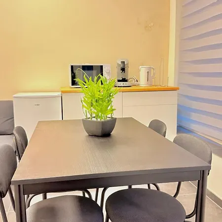 Daire Orlean 41 A Centre-gare-aeroport Charleroi